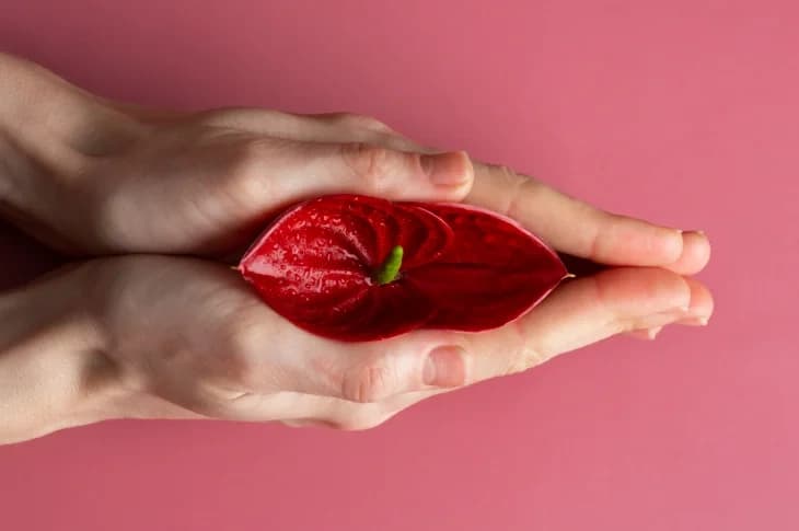 Menopause Symptoms How Fight Them?